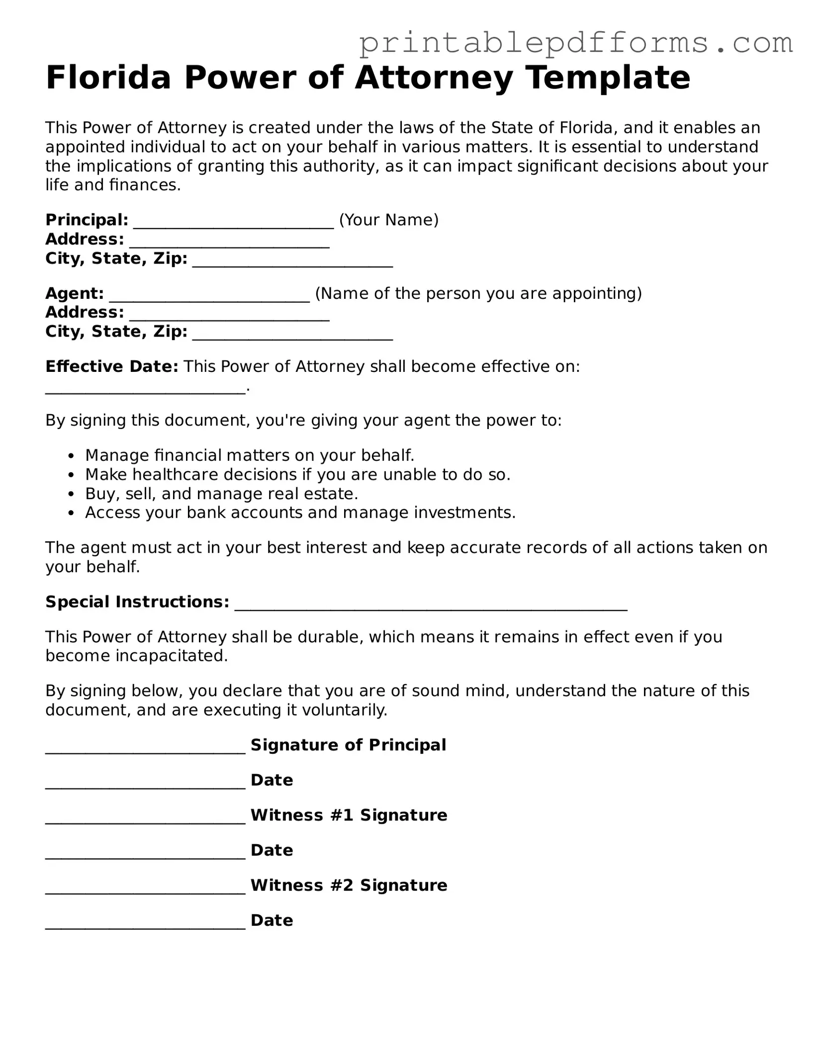 Florida Power of Attorney Document