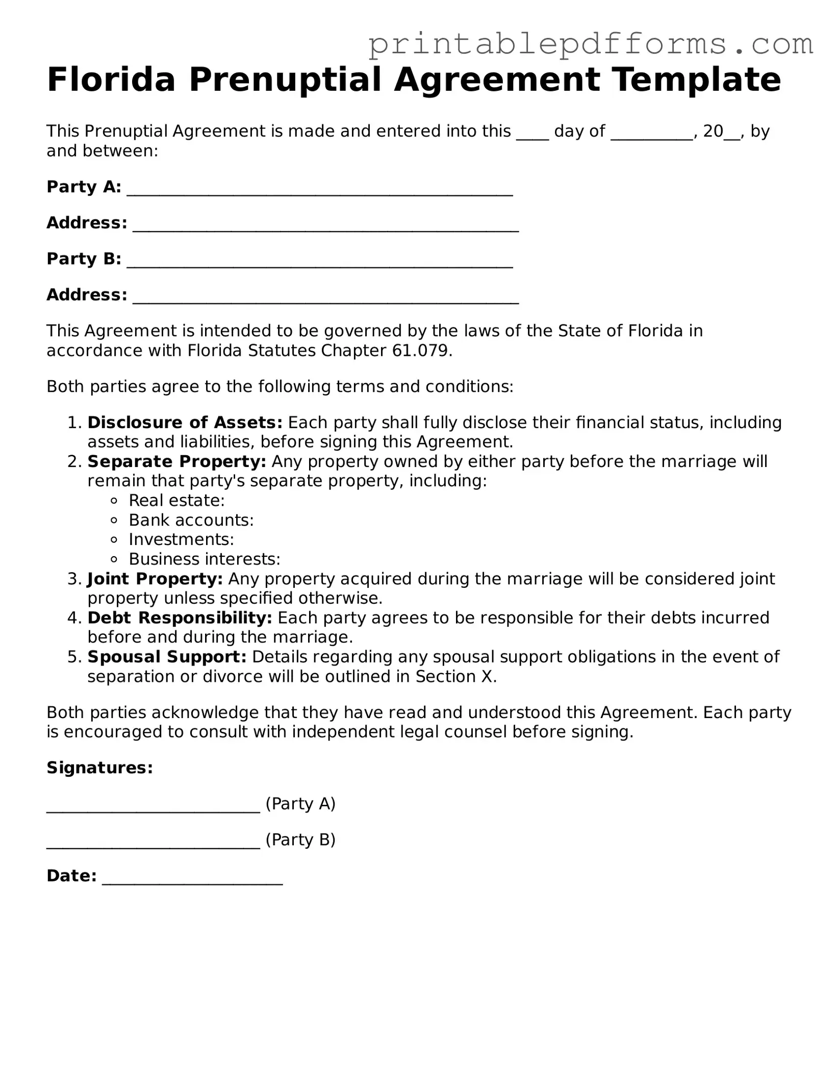 Florida Prenuptial Agreement Document