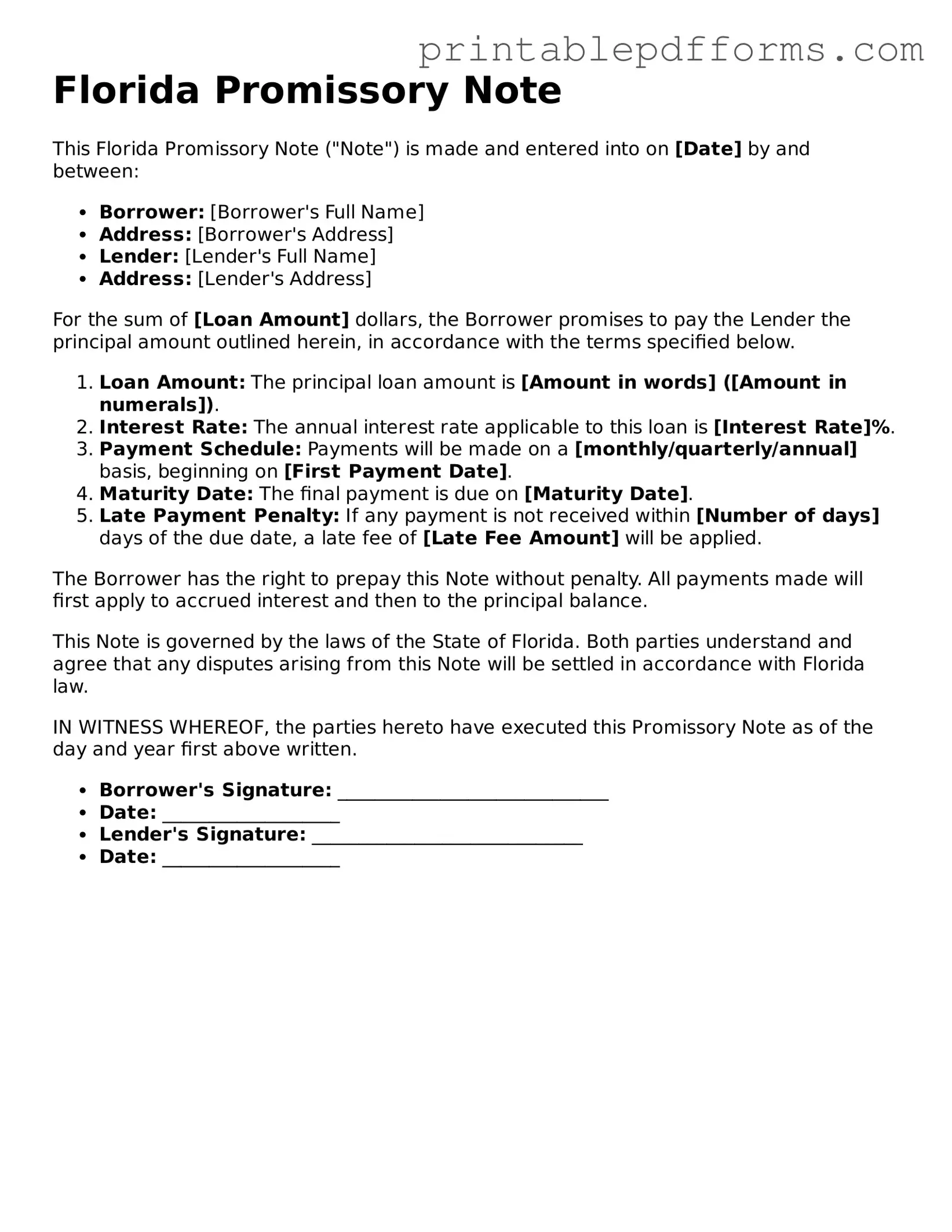 Florida Promissory Note Document