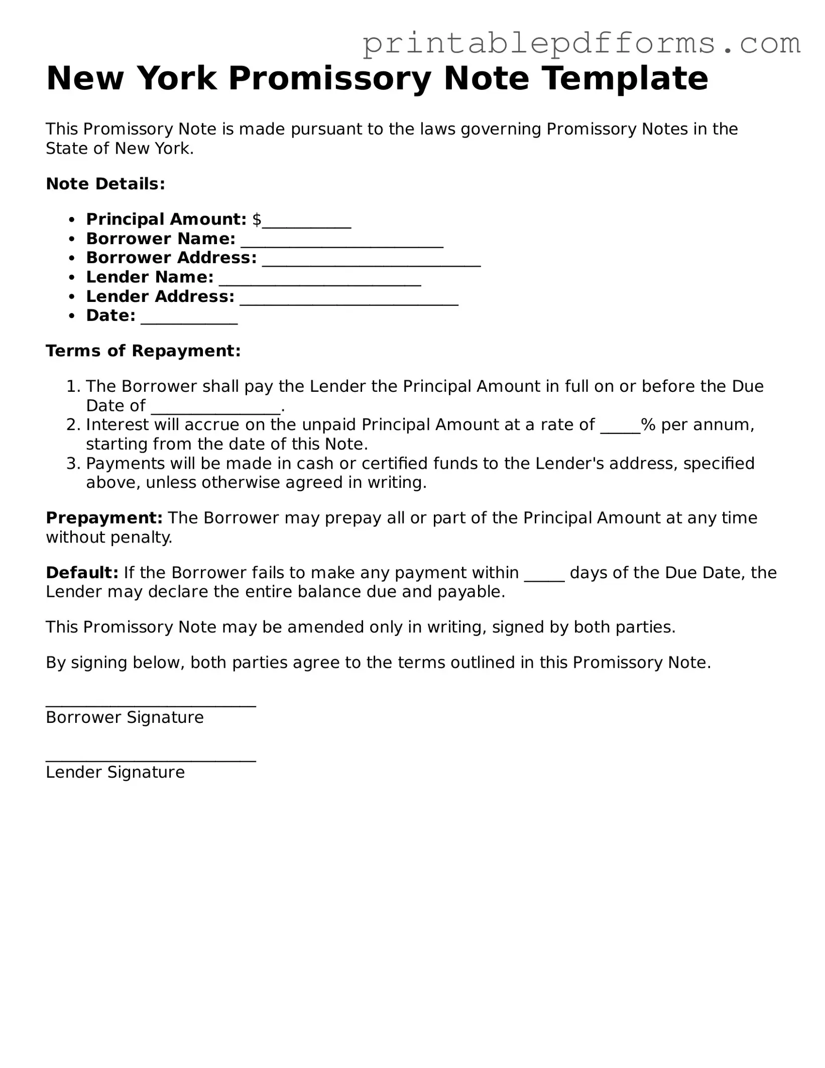 New York Promissory Note Document