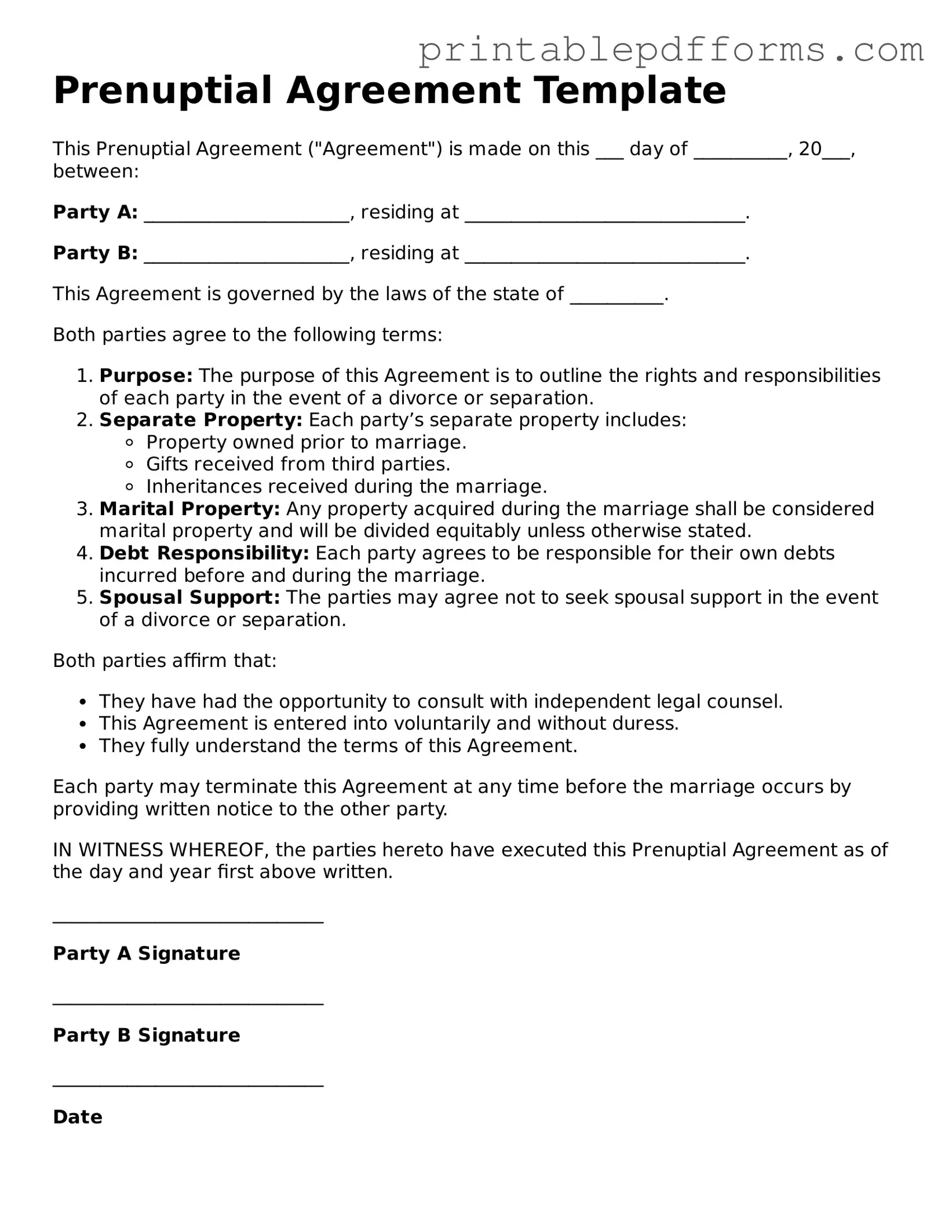 Blank Prenuptial Agreement Form