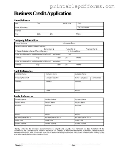 Fill a Valid Business Credit Application Form