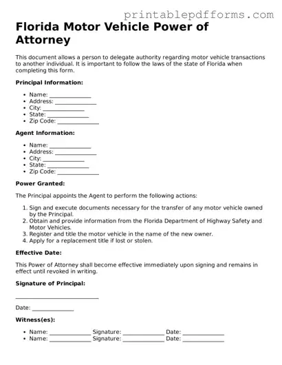 Florida Motor Vehicle Power of Attorney Document