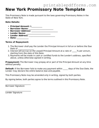 New York Promissory Note Document