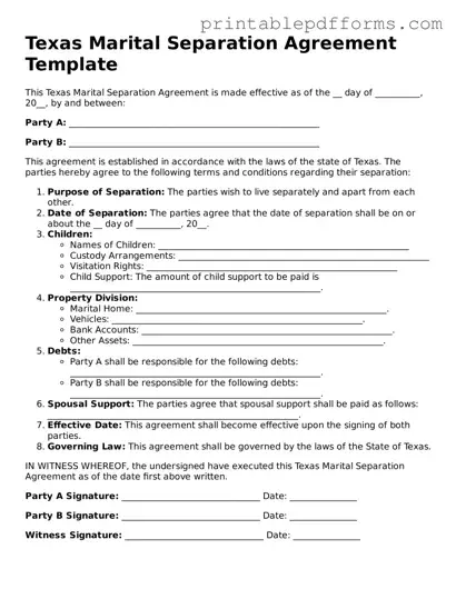 Texas Marital Separation Agreement Document