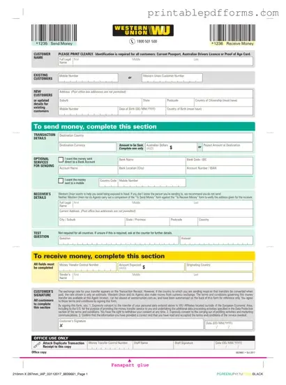 Fill a Valid Western Union Form
