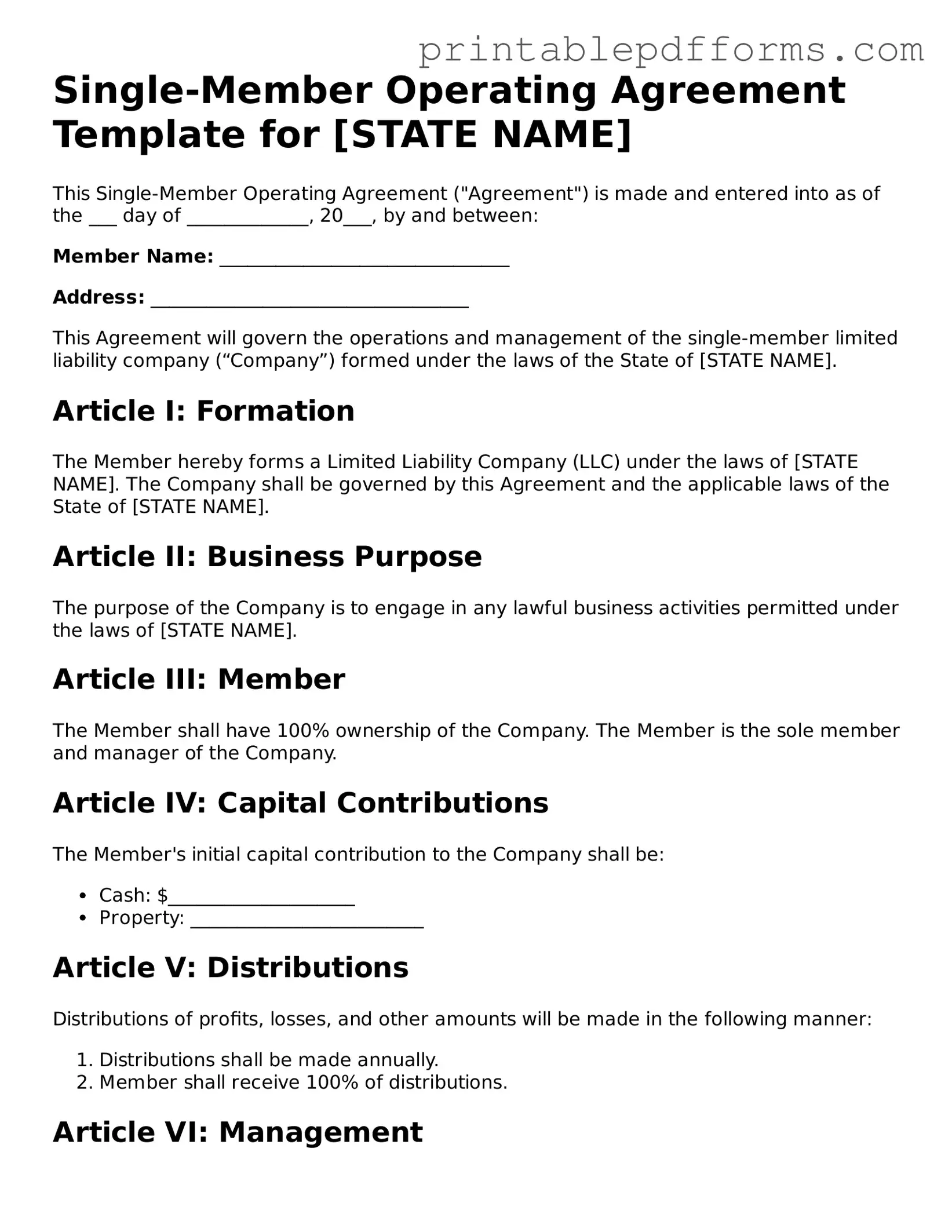 Blank Single-Member Operating Agreement Form