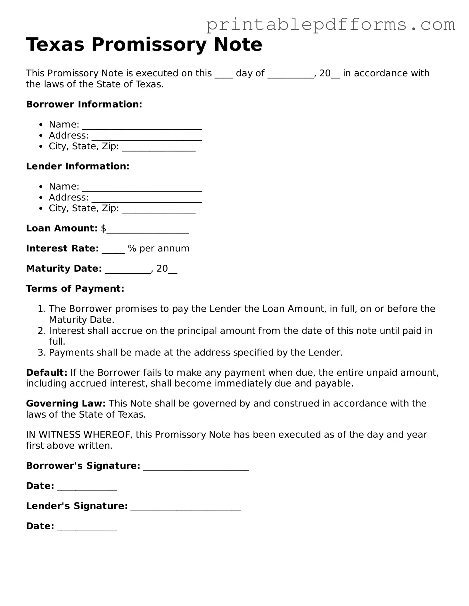 Texas Promissory Note Document